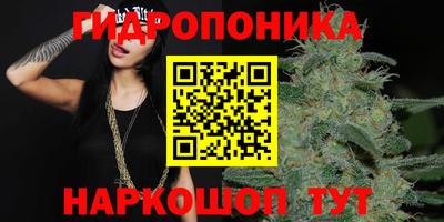 хмурый Краснодар
