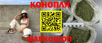 гашик Краснознаменск